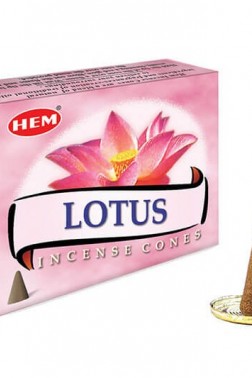 Lotus Cones