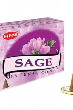 Sage Cones